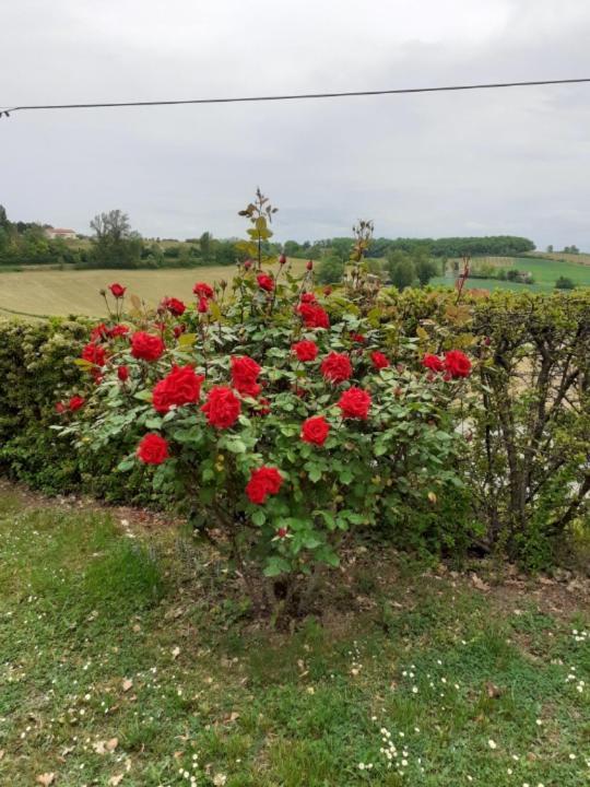 Gite De La Cheneraie Montpezat-de-Quercy Екстериор снимка